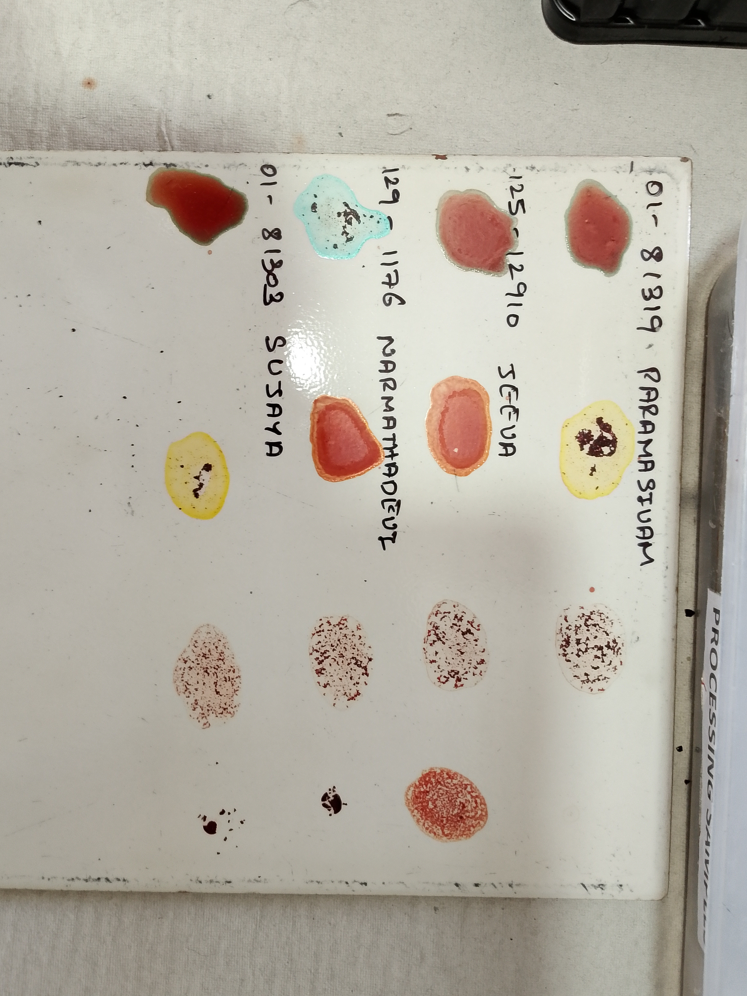 biolinelab.org - /SLIMS/Test_Images/25.10.25_125012910_000344/
